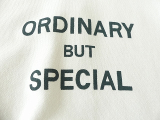 PACIFIC PARK STORE(パシフィックパークストア) ユースフル裏毛ヘムラウンドプルオーバー ORDINARY BUT SPECIALの商品画像26