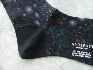 ANTIPAST(アンティパスト) WINTER GARDEN SOCKSの商品画像32