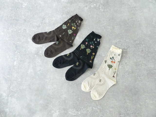 ANTIPAST(アンティパスト) SALAD SOCKSの商品画像2