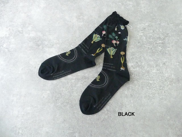 ANTIPAST(アンティパスト) SALAD SOCKSの商品画像3